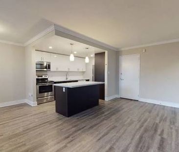 1 BEDROOM APARTMENT FOR RENT - DOWNTOWN BURLINGTON - Photo 3