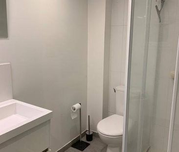 Location appartement ancien 1 pièce 39 m² à Chavanay (42410) - Photo 2