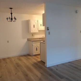 1 bedroom 1 bathroom beautiful cozy apartment for rent Burnaby - Photo 4