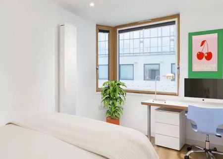 Silver Studio Standard View Lower Level - Photo 5