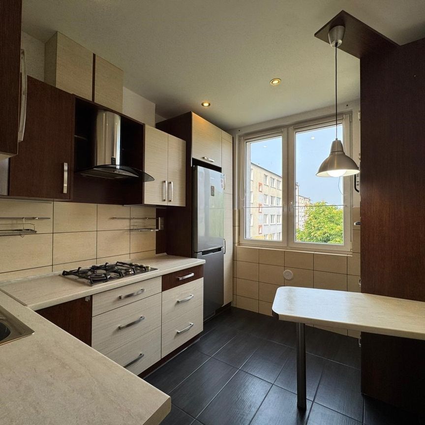 Grudziądz Mieszkanie na wynajem - Фото 1