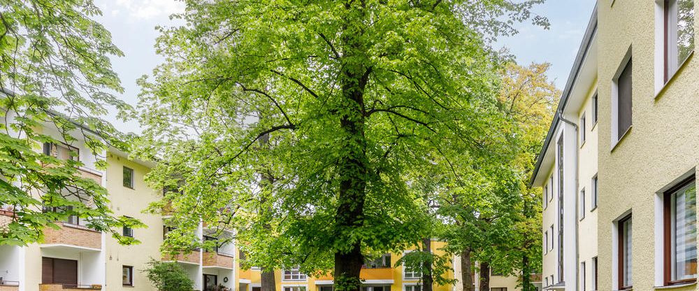 Nice Single Living - Photo 1