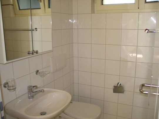 Living between the lake and the city - Photo 1