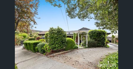 Single-Level Sanctuary - Photo 3