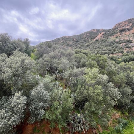 Location Appartement 1 pièce 20m² AJACCIO 20000 - Photo 4