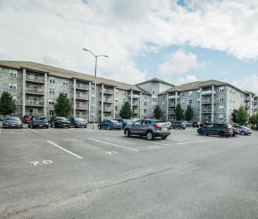 For Lease - 539 Armstrong Road Unit# 516, Kingston, Ontario - Photo 5