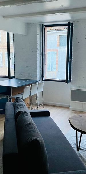 Appartement T2 Beaumont-de-Lomagne à louer - Photo 1