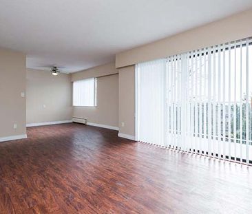 Skyview Apartments - 1 Bedroom - Photo 4