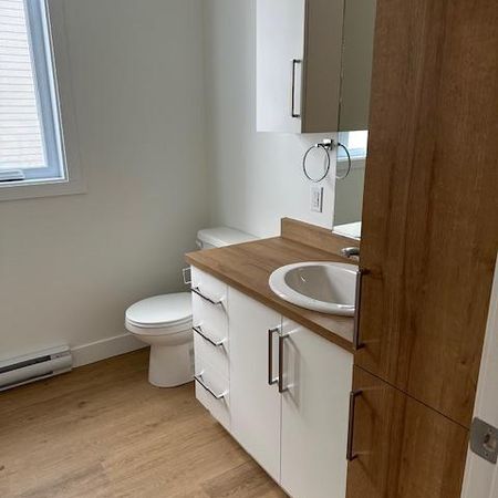 Logement 4 1/2 à louer - Photo 4