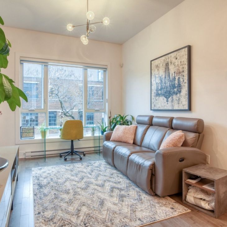 7230 Rue Alexandra, app.223, H2R 2Z2, H2R 2Z2, Montréal - Photo 1