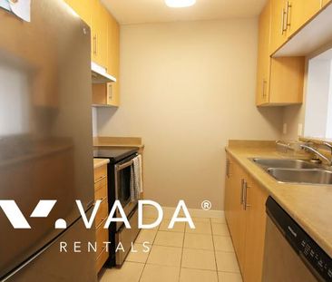 Unfurnished, 1 Bed 1 Bath Apartment For Rent - Photo 4