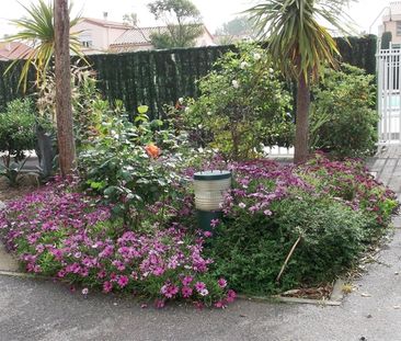 Location Appartement 1 pièce 23m² - Photo 5