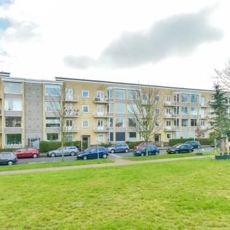 Victor Hugoplantsoen, 3533 CG Utrecht, Nederland - Foto 3