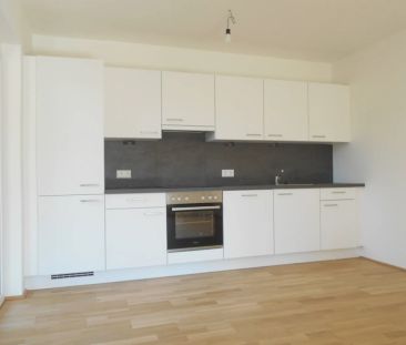 Q5 am PARK 3ZI ruhige Innenhoflage sonniger S/W Balkon - Photo 4