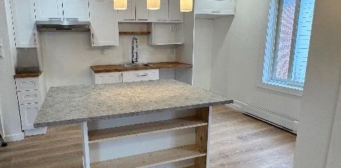 Logement 3 1/2 Farnham J2N 2B7 - Photo 2