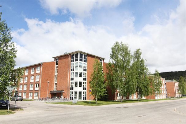 Blodriskegränd 8 B - Photo 1