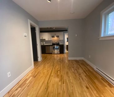 Modern North End 1 Bed · 1 Bath | 2328 Agricola Street | Available ... - Photo 6