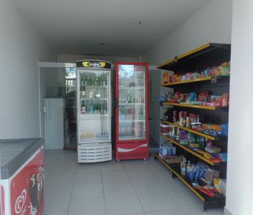 P RIBEIRO - APARTAMENTO - PROFESSOR JACINTO BOTELHO, 1080 AP 1201 J... - Photo 3