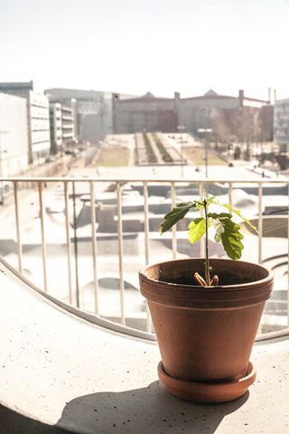 Lilla Varvsgatan 24 - Foto 2