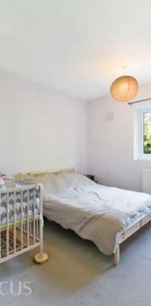 Baskerville Road - Photo 1