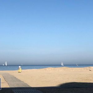 Location Appartement 1 pièce 38m² TROUVILLE SUR MER 14360 - Photo 2