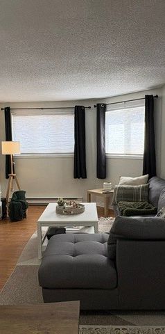 4 1/2 Gatineau - Grand Demi Sous-sol - Photo 1