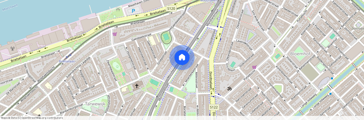 Tarwewijk, 3081 CD, Mijnsherenlaan, Rotterdam