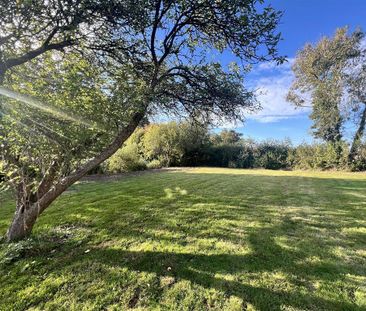 2 bedroom semi-detached house to rent - Photo 4