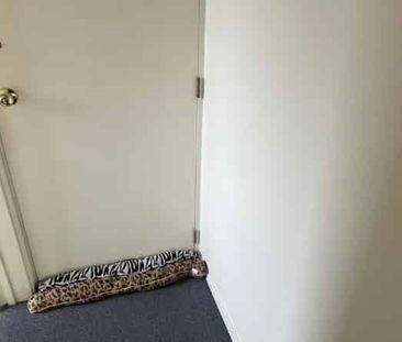 Private Back Unit – 22 Field Terrace - Photo 5