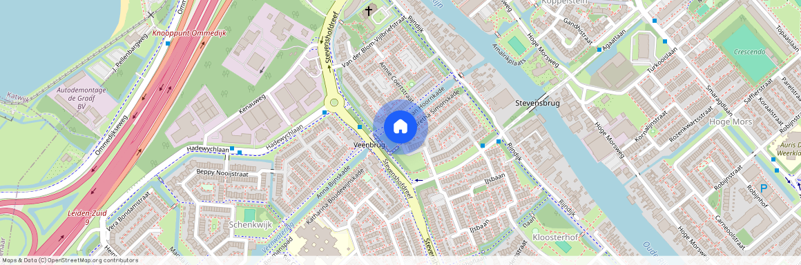 2331EG, Leiden, Agatha van Alkemadestraat, 21