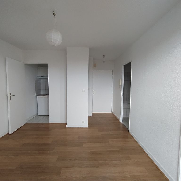 Appartement - 2 pièces - Jardin Lecoq/Facultés - Photo 1