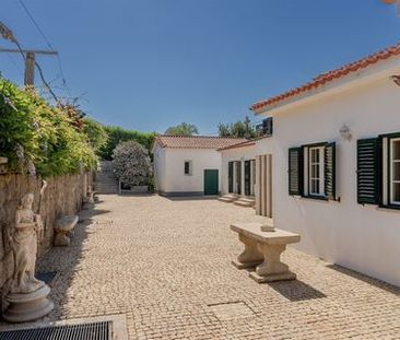 Andar de Moradia T4 - Photo 5