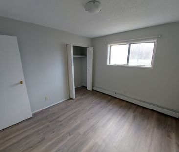 Fully Renovated Pet Friendly Unit!!! - Photo 1