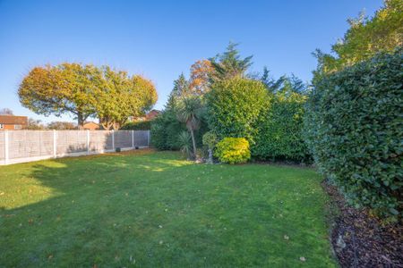 3 bedroom house to rent - Photo 5
