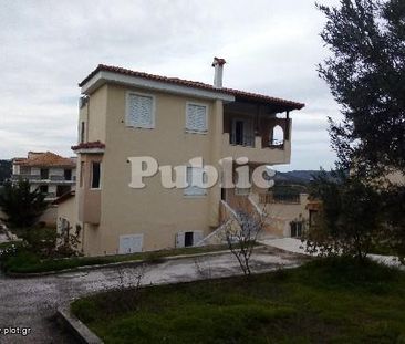 Μεζονέτα 105 τ.μ. προς ενοικίαση - Photo 2
