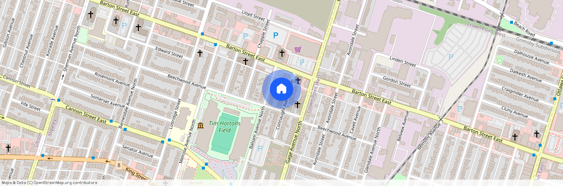 163 Connaught Avenue, Hamilton