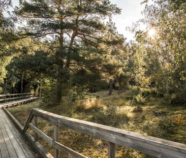 Haga skogsväg, Karlstad - Photo 2