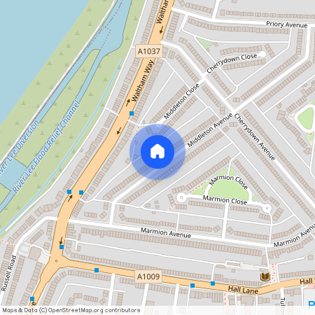 Middleton Avenue, London, E4