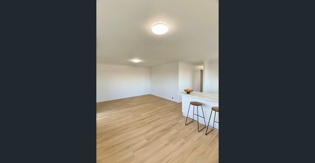 Newly renovated duplex in prime location - Water bills included! - Photo 1