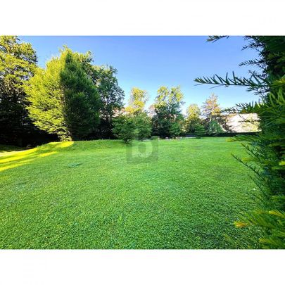 HOCHWERTIG MIT INDOOR POOL UND AUSSICHT INS GRÜNE - Photo 1
