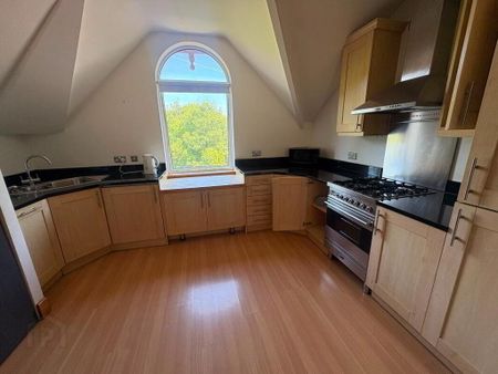 Apt 4, 6 Sans Souci Park, Belfast, BT9 5BZ - Photo 4
