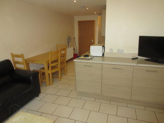 Great Apartment, 165a University Street, Queens Quarter, Belfast, BT7 1HR - Photo 1