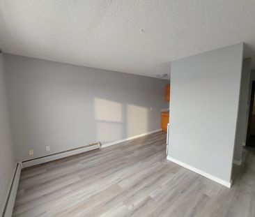 Large 1 Bedroom Unit!!! One Month Free Rent!! - Photo 5