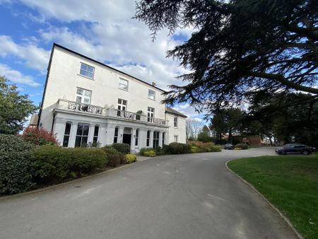 3 bedroom penthouse to rent - Photo 3