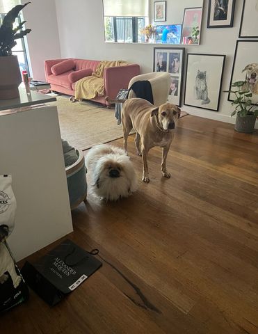 Caulfield North - Photo 2