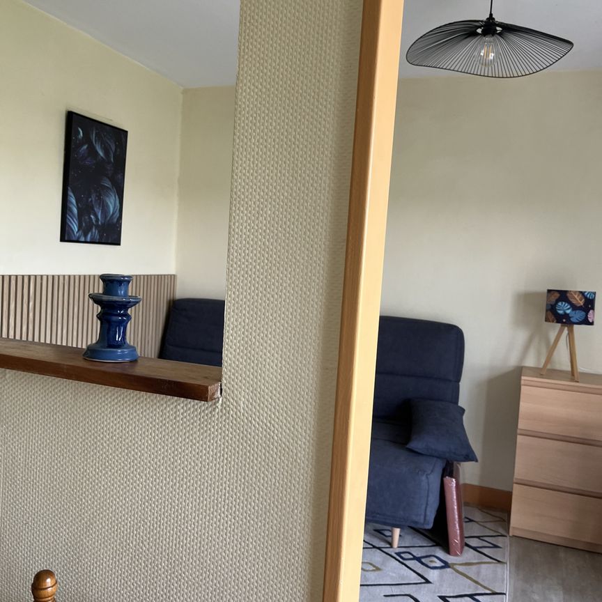Location Appartement 1 pièce 25m² ORLEANS 45100 - Photo 1