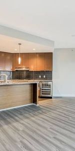 Metrotown luxury large 1 bedroom - Photo 4