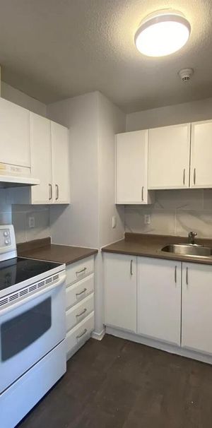 30 Rue De Matapédia (Gatineau) Très Bel Appartement De Deux Chambres. - Photo 1