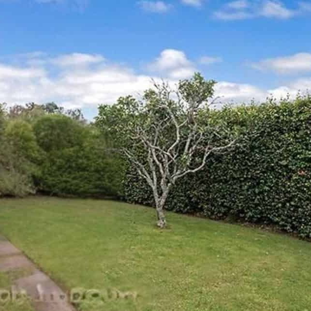 Specious Family Home - Available Now! - Photo 1