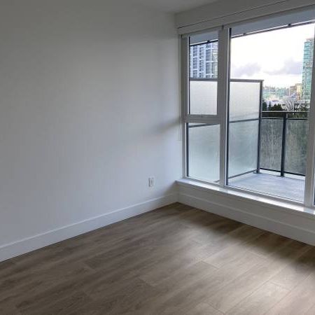 NEW 1 BDR - 1 BATH, PET FRIENDLY-SUSSEX - Photo 1